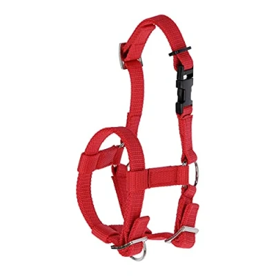 Afbeelding van Alpaca halster rood