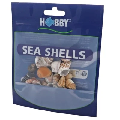 Afbeelding van Hobby Decoratie Sea Shells Set S 20 St