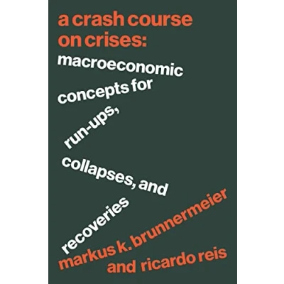 Afbeelding van A Crash Course on Crises