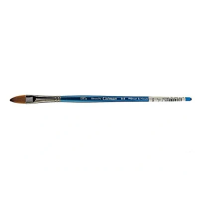 Afbeelding van Winsor &amp; Newton Cotman Aquarelkwast, serie 668, gebruikt, gebogen, korte handgreep, 10 mm