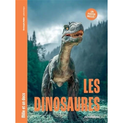 Afbeelding van LES DINOSAURES