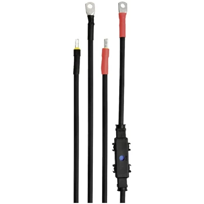 Afbeelding van IVT DSW Serie Kabelset 3.00 m 16 mm² 431009 Geschikt voor model (ondulator): 600/24 V FR, 300/12 DWS 300/24 Voltcraft