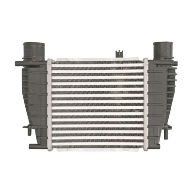 Afbeelding van THERMOTEC DA1003TT Intercooler 210 x 205 64 mm