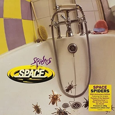 Afbeelding van Space Spiders