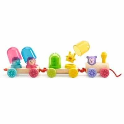 Afbeelding van RAINBOWTRAIN