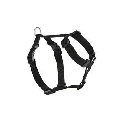 Afbeelding van Bz nylon verstelbaar wandel en autogordel 40 65 x 15 mm