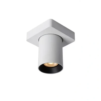 Afbeelding van Lucide Nigel Planfondlamp 1x5W Wit