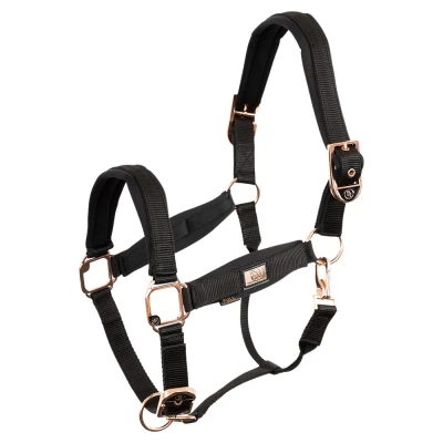 Image de BR Licol Rose Gold Noir XFull