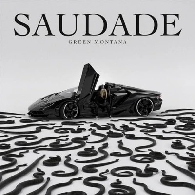 Afbeelding van Green Montana Saudade (CD)