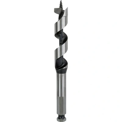Afbeelding van Bosch Accessories 2608585704 Slangenboor 18 mm Gezamenlijke lengte 160 Zeskant schacht 1 stuk(s)