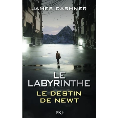 Image de Le Labyrinthe : destin de Newt