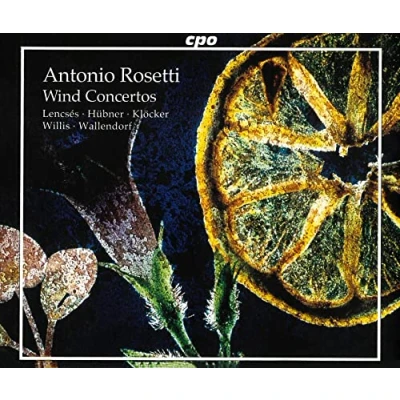 Afbeelding van Wind Concertos (Warchal, Slovak Co, Schroeter seebeck)