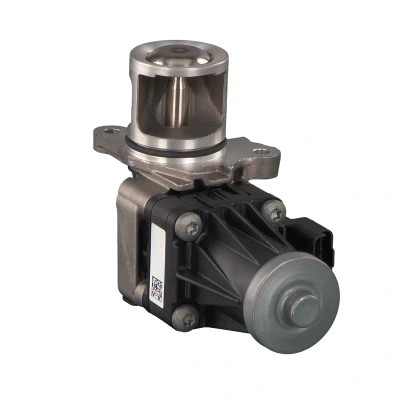 Afbeelding van FEBI BILSTEIN 174580 EGR klep Met afdichtring