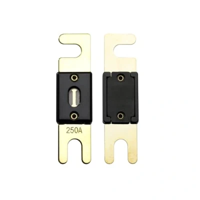 Afbeelding van Offgridtec 5 stuks ANL zekeringen DIN43560/1 250A 72V