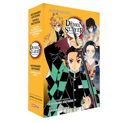 Afbeelding van demon slayer roman jeunesse,02 + slayer,04