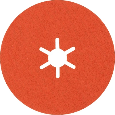 Afbeelding van Bosch Accessories 2608621818 Fiberschijf Diameter 100 mm Staal, RVS 25 stuk(s)