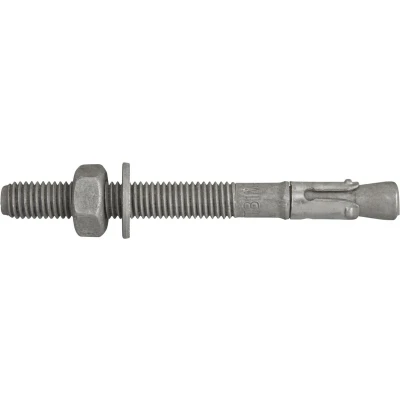 Afbeelding van PTB G M10X120 Doorsteekanker Thermisch verzinkt (50 stuks) DFM1150360