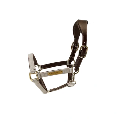 Image de Kentucky Licol Anatomic Nylon Beige Cob