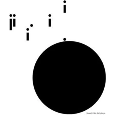 Afbeelding van Masayoshi Fujita Bird Ambience (2 LPs)