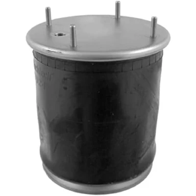Afbeelding van Febi Bilstein Veerbalg 20313
