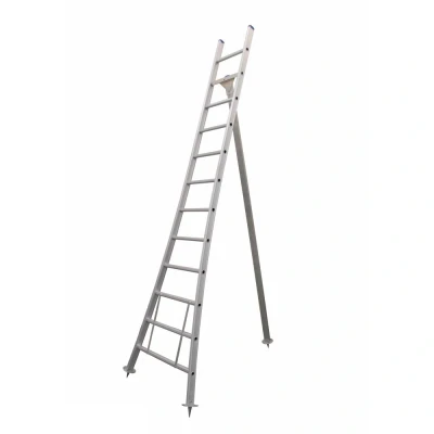 Afbeelding van Eurostairs Plukladder 1x12 Sporten