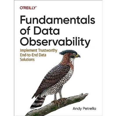 Afbeelding van Fundamentals of Data Observability
