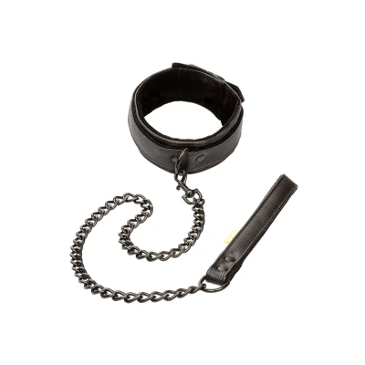 Afbeelding van Halsband met Riem Boundless Zwart