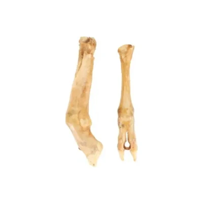 Afbeelding van FLAMINGO Nature Snack lamsvoet 2 stuks