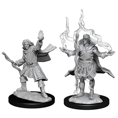Afbeelding van Elf Sorcerer, Male. Elements Deep Cuts