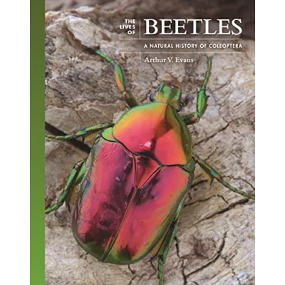 Afbeelding van The Lives of Natural World Beetles