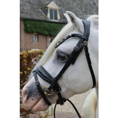 Image de HB Bride Special Noir/marine A Poney