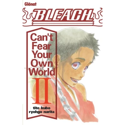 Image de Bleach Roman Can&#039;t Fear Your Own World Tome 02