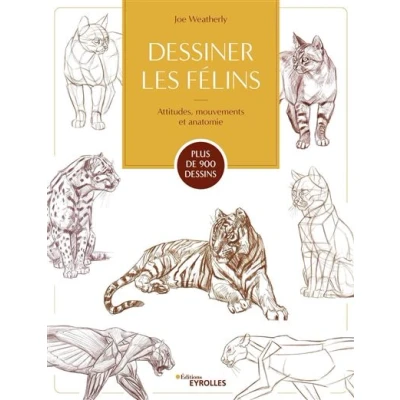 Image de Dessiner les félins