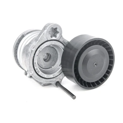 Afbeelding van Spanrol, Poly V riem SKF VKM 38212