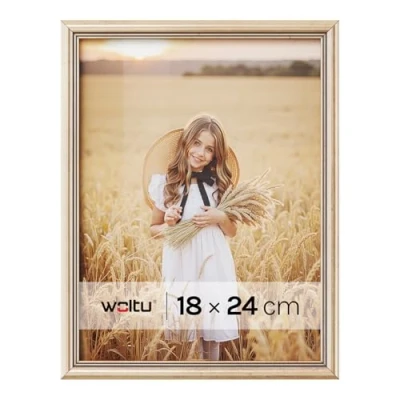 Afbeelding van WOLTU Fotolijst 22,9 x 17,8 cm van goudkleurig hout met glasplaat om aan de muur te hangen of zelfstandig staan