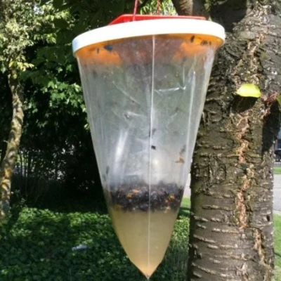 Afbeelding van Redtop vliegenval wegwerp