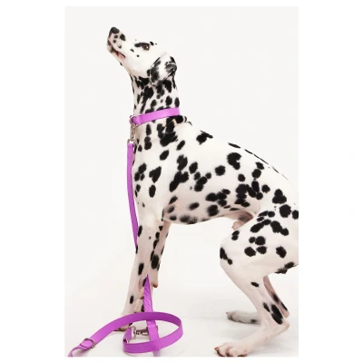 Afbeelding van Dogguo Zebra Leash Hondenriem Paars