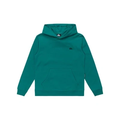 Afbeelding van Quiksilver Hoodie voor kinderen, Maat: 164, Bsj