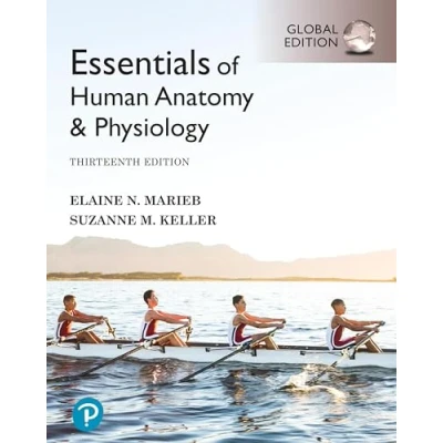 Afbeelding van Essentials of Human Anatomy &amp; Physiology, Global Edition