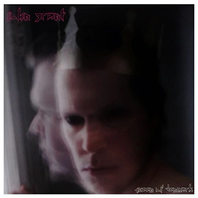Afbeelding van John Grant Queen of Denmark (2 LPs)