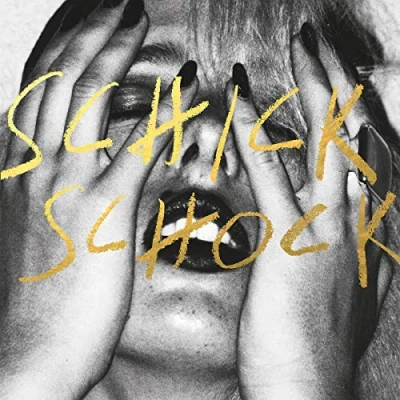 Afbeelding van Bilderbuch Schick Schock (2 LP)