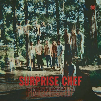 Afbeelding van Surprise Chef Friendship (LP)