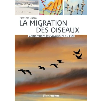 Image de La migration des oiseaux