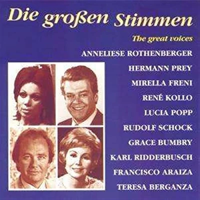 Afbeelding van Die Grossen Stimmen