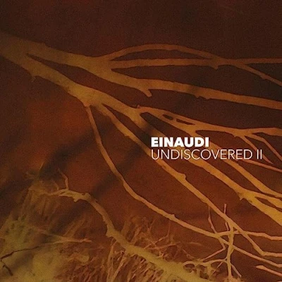Afbeelding van Ludovico Einaudi Undiscovered Vol.2 (2 CD)
