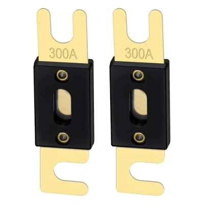 Afbeelding van Heschen ANL 2 stuks 300 300A auto audiosysteem zekeringen goud zwart