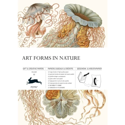 Afbeelding van Gift &amp; creative papers 83 Art Forms in Nature Volume