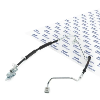 Afbeelding van DELPHI LH6940 Remslang 414 Banjo