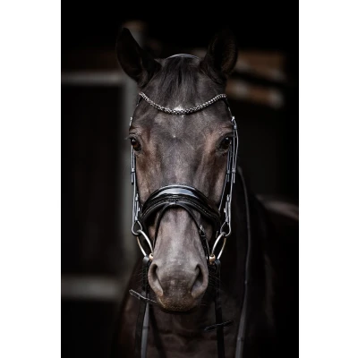 Image de HB Bridon Showtime Evalira Noir Full