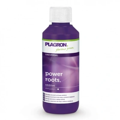 Afbeelding van POWER ROOTS 100 ML